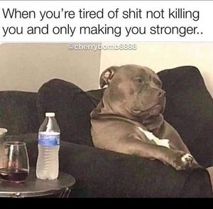 Meet your Posher, Jeremy